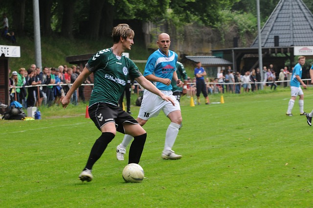 篮球CBA最具人气球员榜单更新